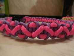 Halsband CROOKED RIVER Paracord | Round Line
